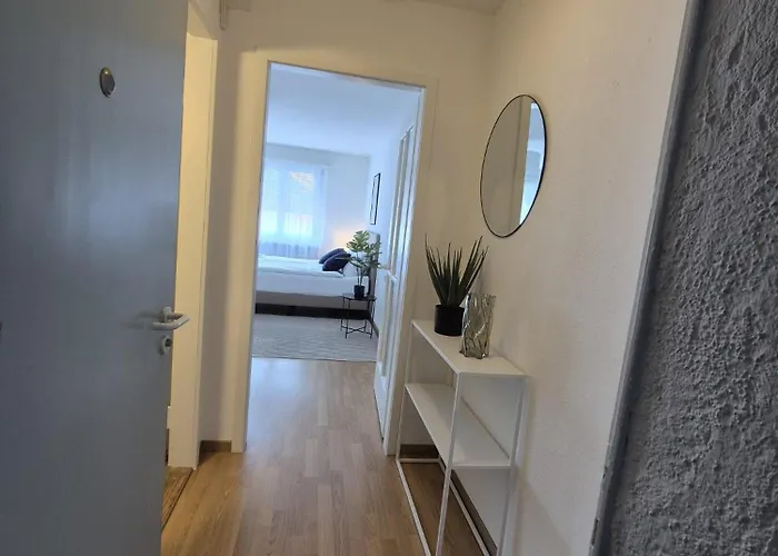 Stylish In Center - Crown 36 Curych